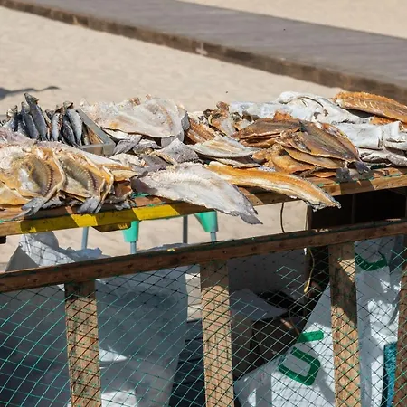 Bayview A Sua Casa A Beira Mar - 20 Mt Da E Da Famosa Bola Nivea * 나자레