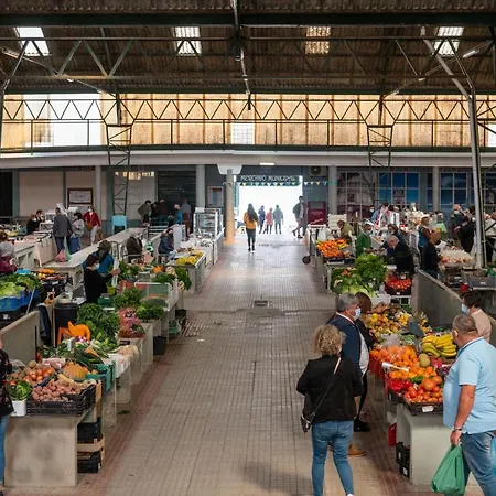 Bayview A Sua Casa A Beira Mar - 20 Mt Da E Da Famosa Bola Nivea