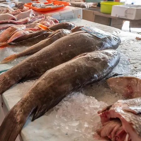 Bayview A Sua Casa A Beira Mar - 20 Mt Da E Da Famosa Bola Nivea 나자레