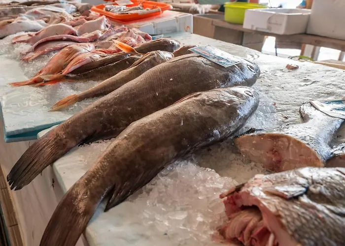 Bayview A Sua Casa à Beira Mar - 20 Mt Da E Da Famosa Bola Nivea Nazaré